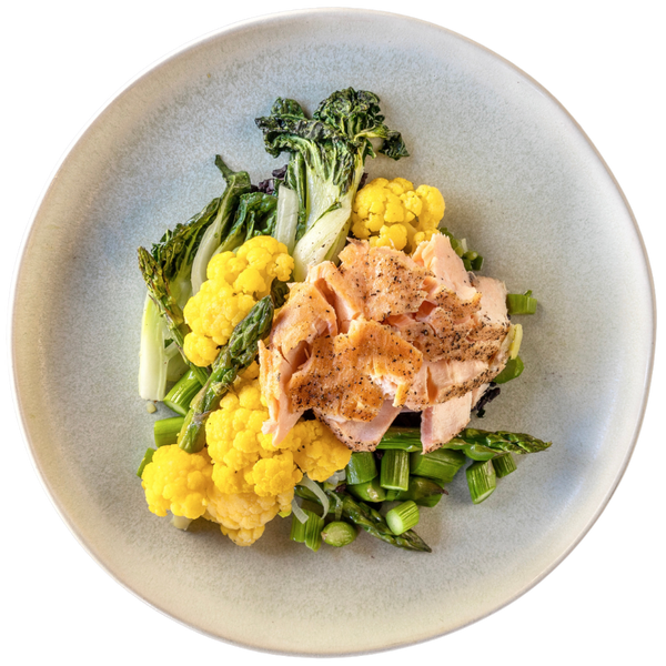 Salmon No Grain Double Extra Protein 7oz